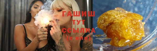 сатива Абаза