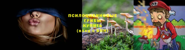 трава Абдулино