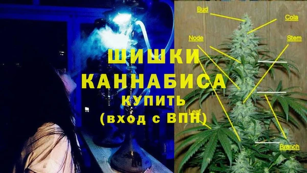 сатива Абаза