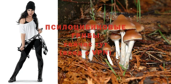 сатива Абаза