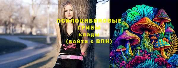гидропоника Абинск
