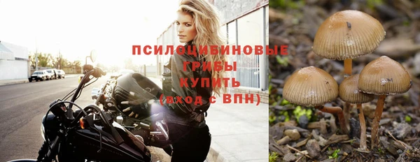 сатива Абаза