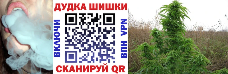 наркошоп  Нальчик  Бошки марихуана план 
